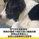 空气中弥漫着臭味！狗狗仔细闻了闻自己和小姐姐的脚，发现凶手竟是主人，当场认怂假装啥也没发现