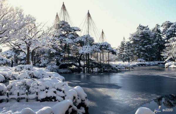 Unique Japan Tours Kanazawa Kenrokuen Garden Winter Yuki Tsuri.jpg