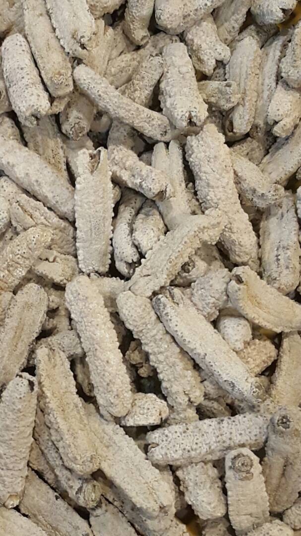 黄玉参