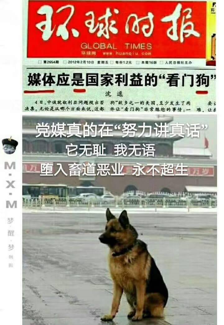 dog china.jpg