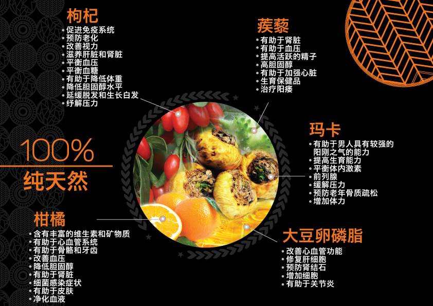 chinese-e-flyer3.jpg