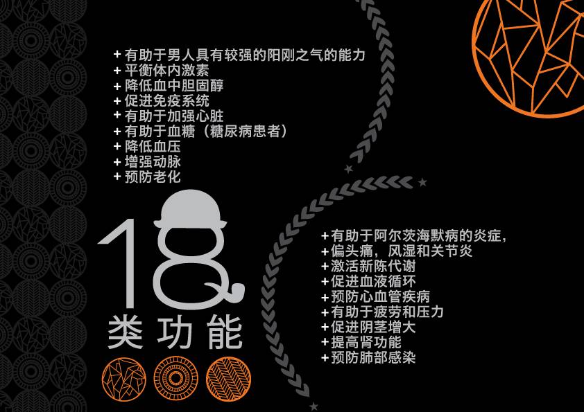 chinese-e-flyer6.jpg