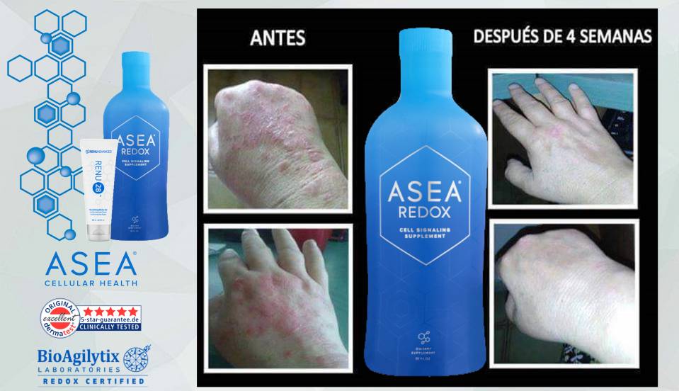 ASEA CHINESE40.jpg