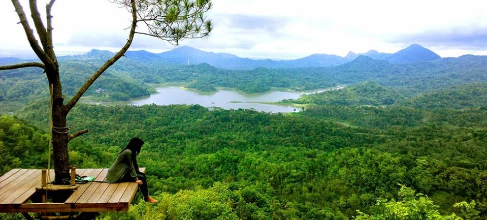 Kalibiru National Park.jpg