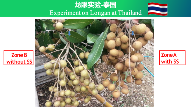 用了技术的对比照