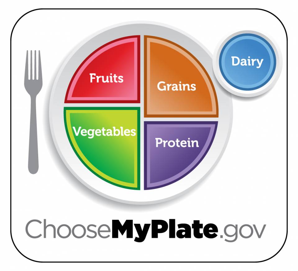 food-pyramid-choose-my-plate-vegetables-fruits-grains-protein-dairy.jpg