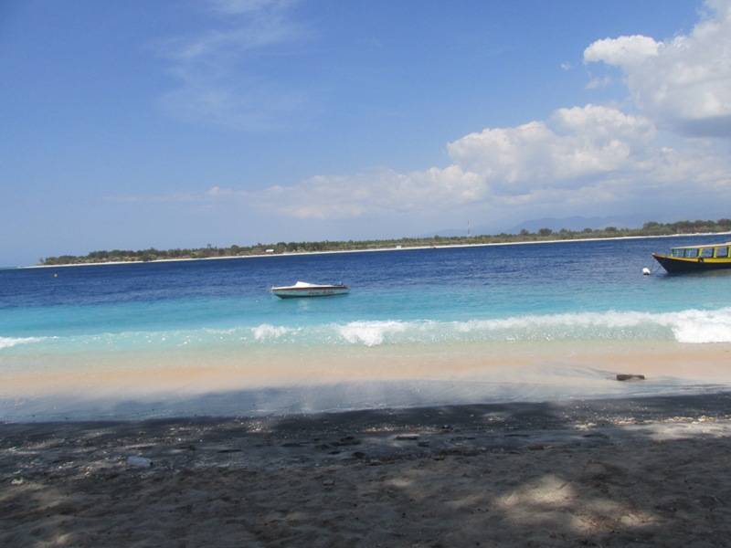 Gili T.JPG