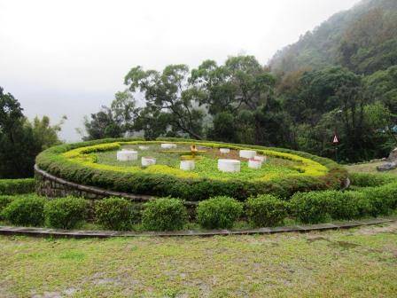 阳明山-花种.JPG