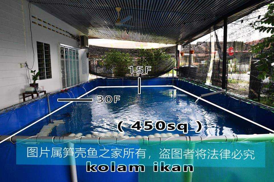 FB_IMG_1541941542412.jpg