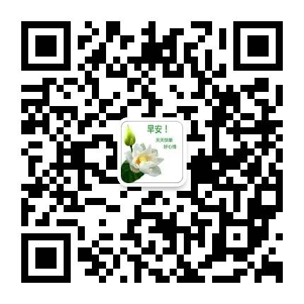 mmqrcode1542170458231.png