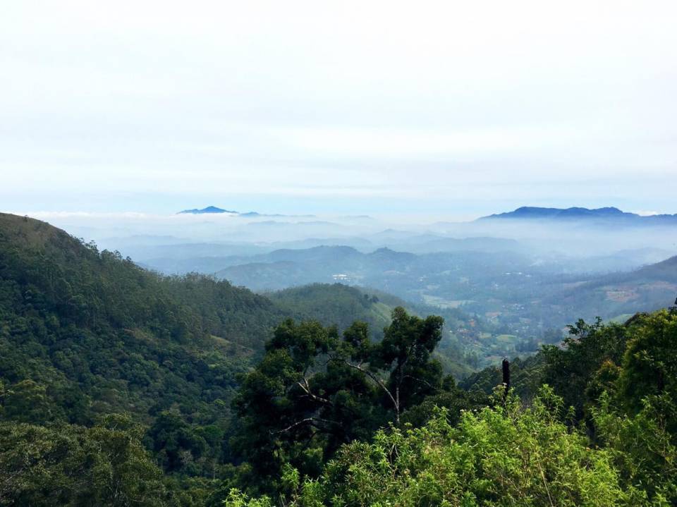 沿途风景