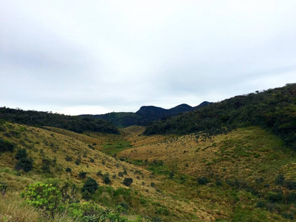 Horton Plains National Park