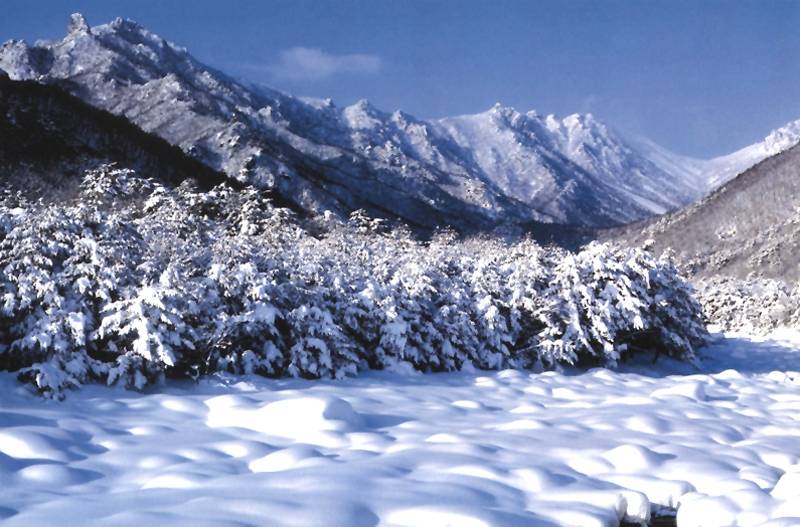 雪嶽山1.jpg