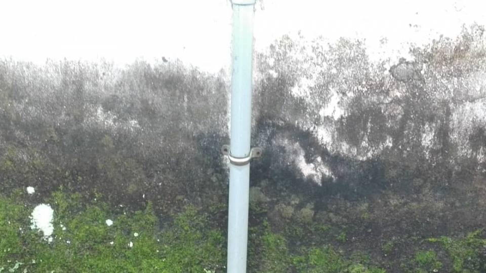 galvanised bracket but normal steel screw