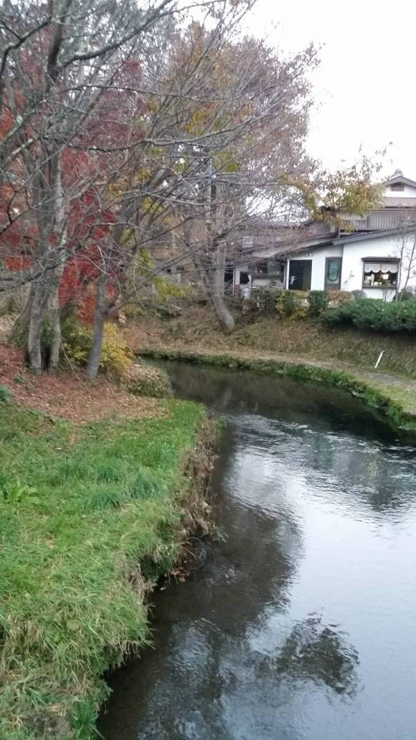 20181118_165058-min.jpg 20181118_165058-min.jpg