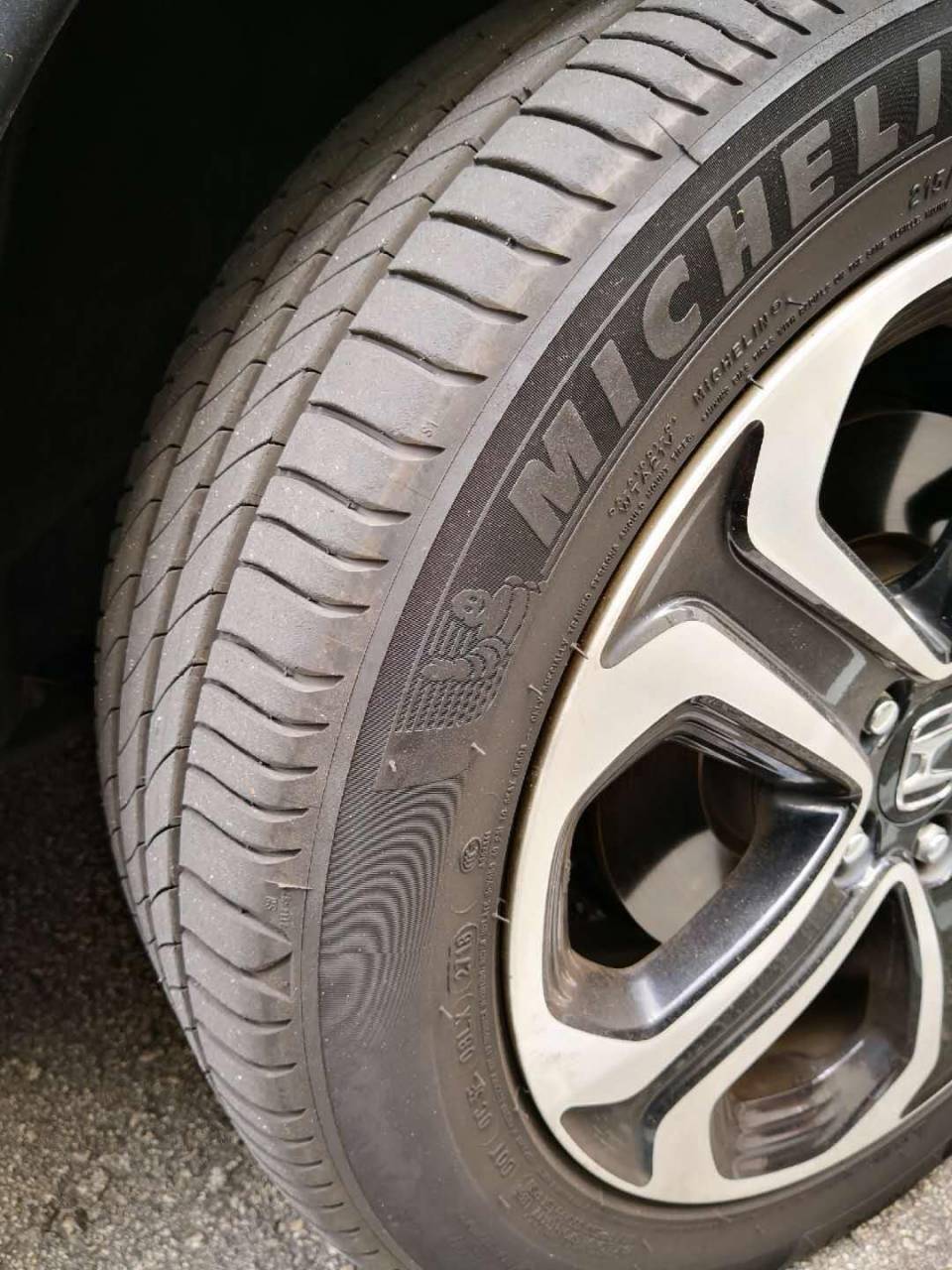 Primavy 4 8000km