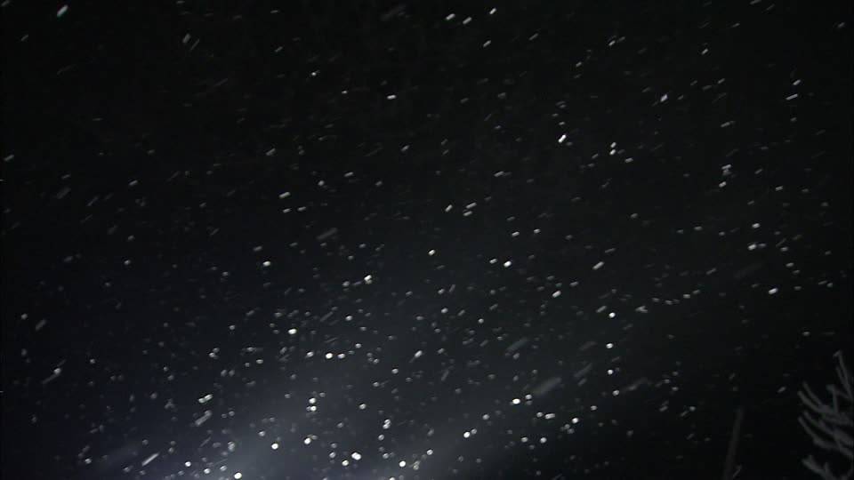 309665295-bernese-oberland-spotlight-snowfall-night.jpg