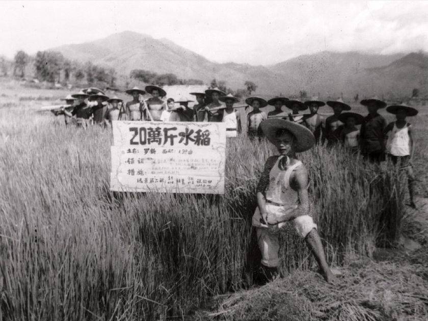 亩产万斤02.jpg