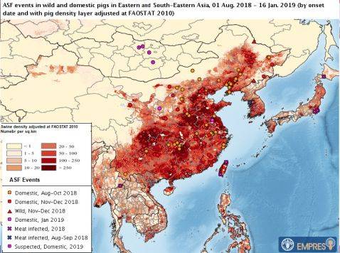 Map of Swine Density.jpg