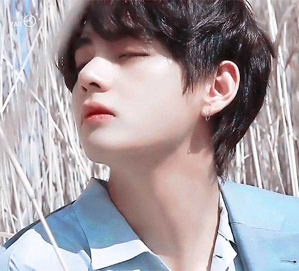 茅草丛中.gif