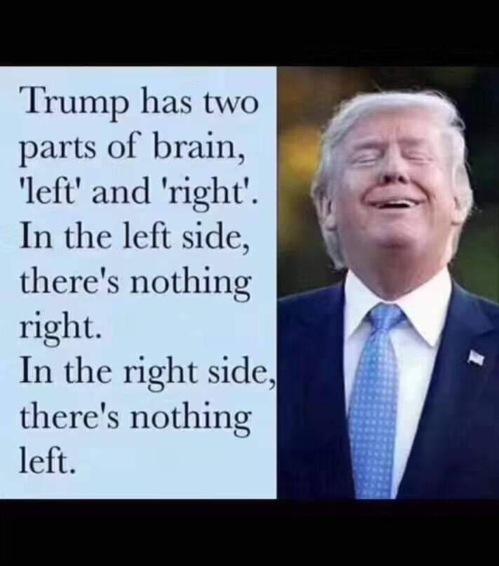 trump4-no brain.jpg