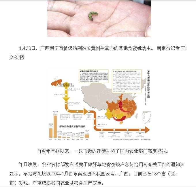 草地贪夜蛾蔓延18省.jpg