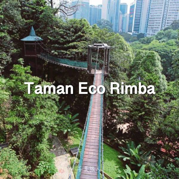 咖啡山森林公园 Taman Eco Rimba 