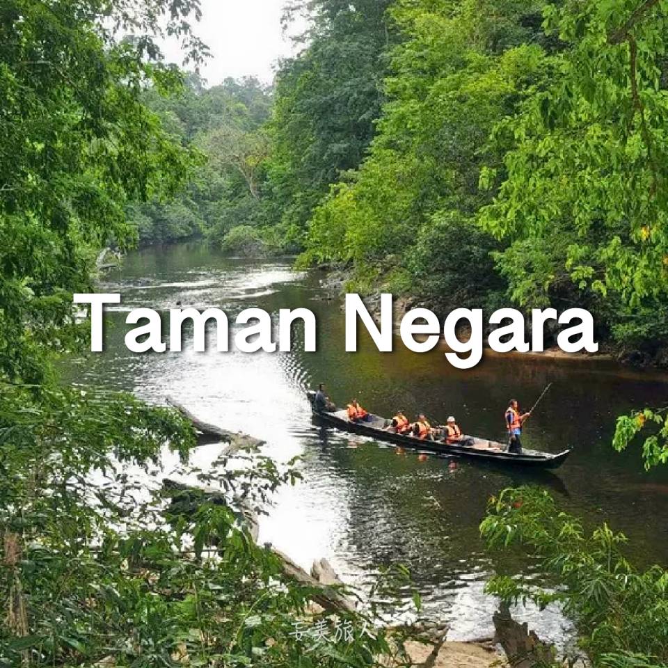 国家公园 Taman Negara