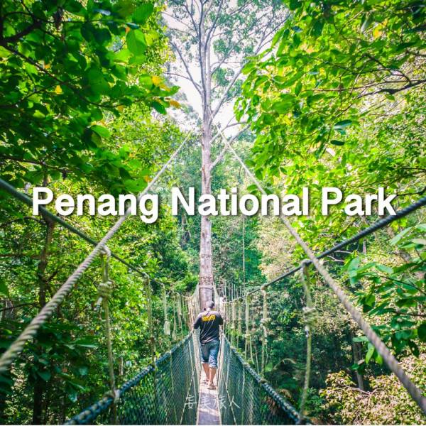槟城国家公园 Penang National Park 