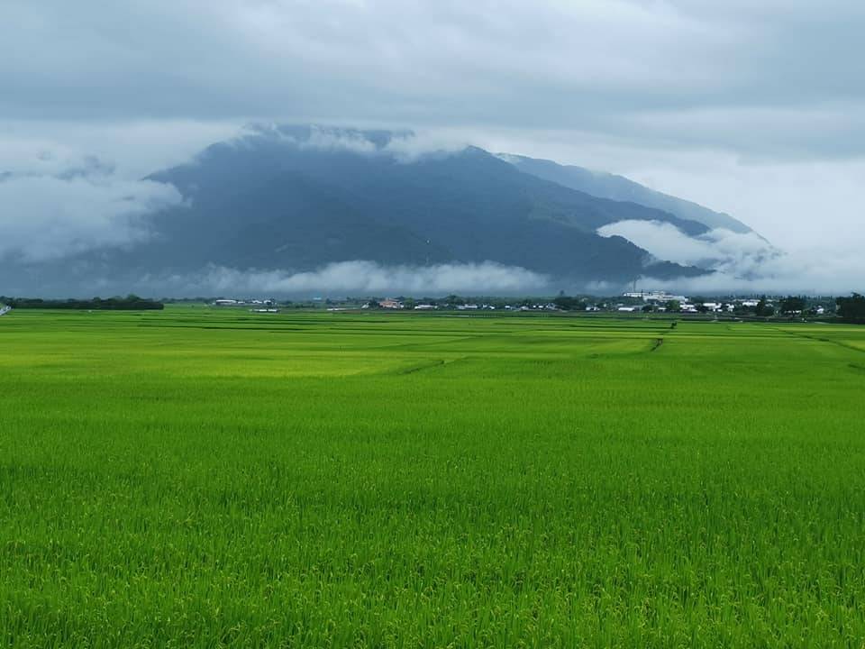 伯朗大道