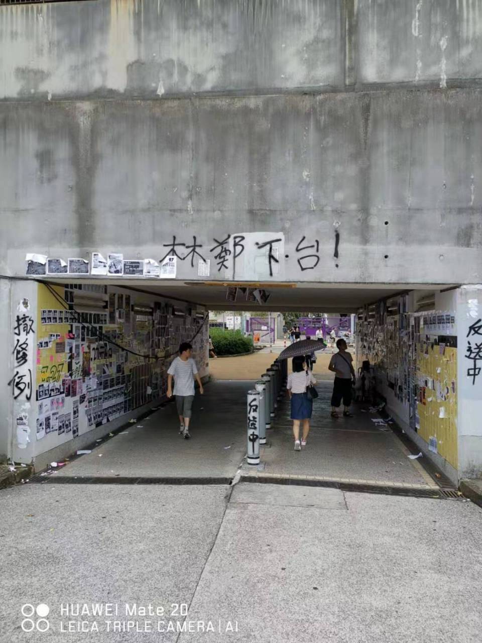 微信图片_20190729091446.jpg