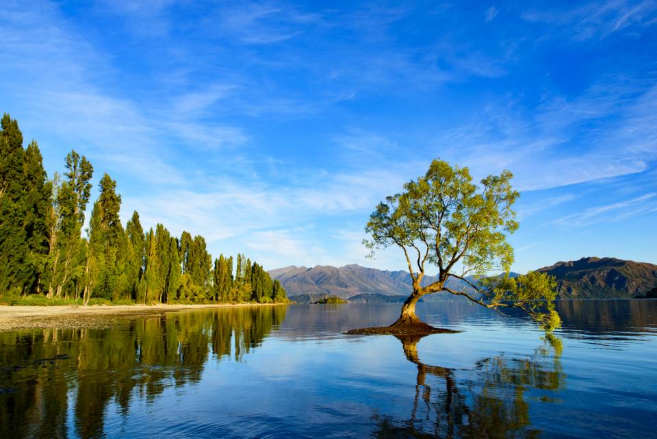 lake wanaka.jpeg