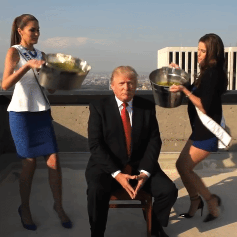 A0B5DA21-7F08-46BD-AFEC-1F58FF0DA69C.gif