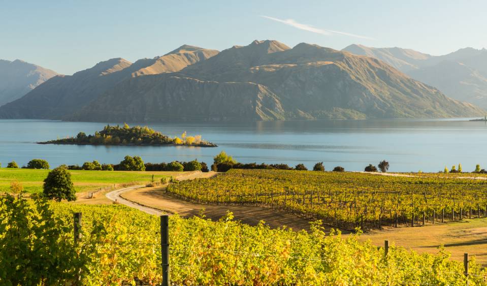 -Wanaka1.jpg