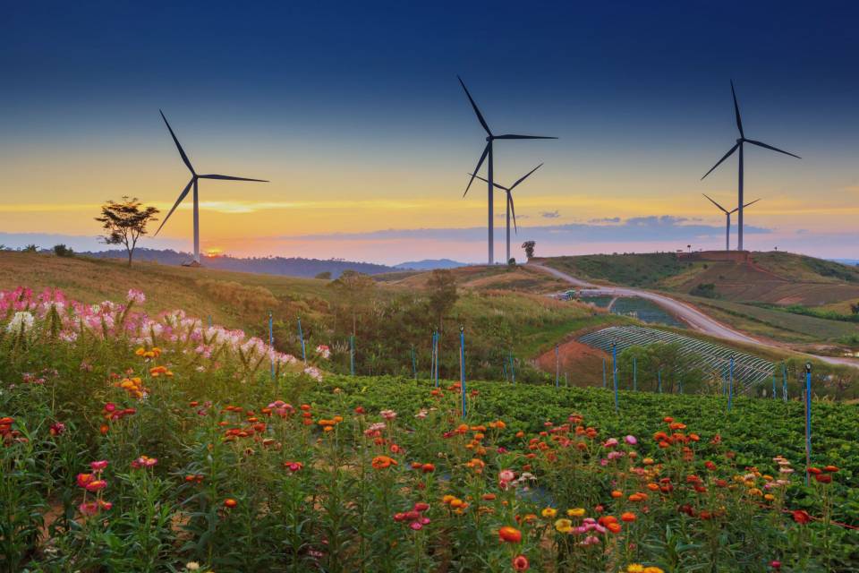 Khao Kho Windmils Farm.jpg