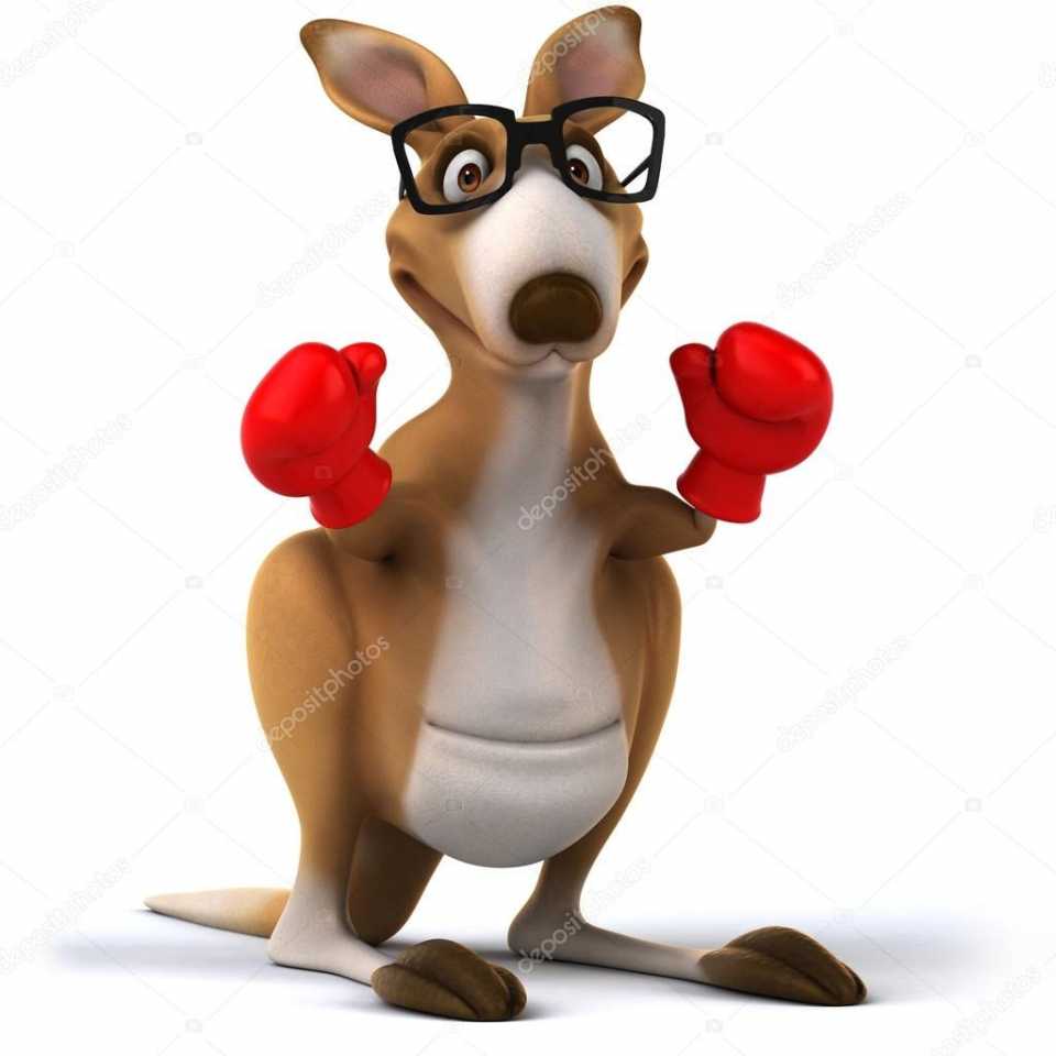 depositphotos_50408791-stock-photo-kangaroo-with-red-boxing-gloves.jpg