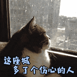 ab9246a3f67c4505988db647f5c55b0c.gif