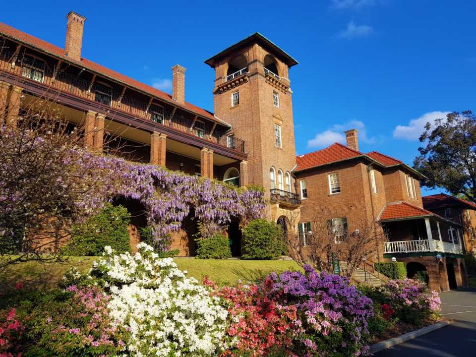 Photo-front-of-College-with-Wisteria-and-Azaleas-2018-Gineke-de-Haan.jpg