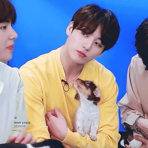 狗狗果果看泰泰.gif