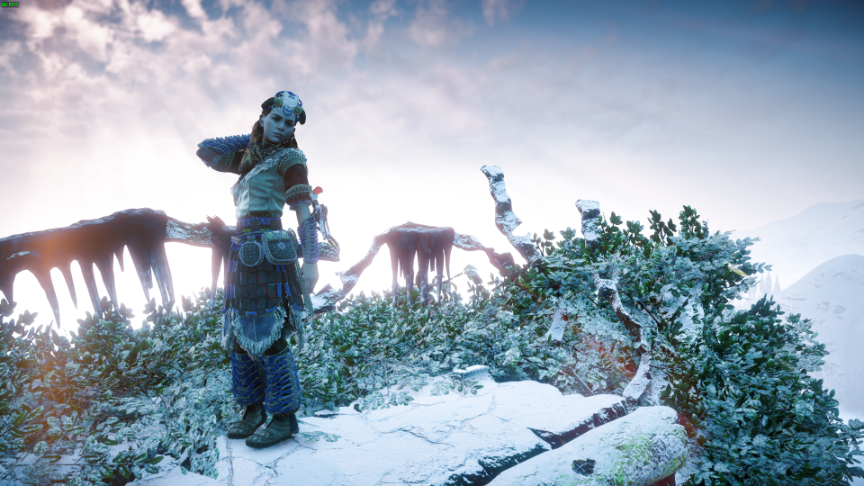 Horizon Zero Dawn_Wed_Aug_12_12-14-12_2020.png