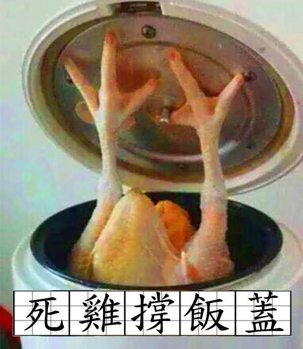 死雞撐飯蓋.jpg