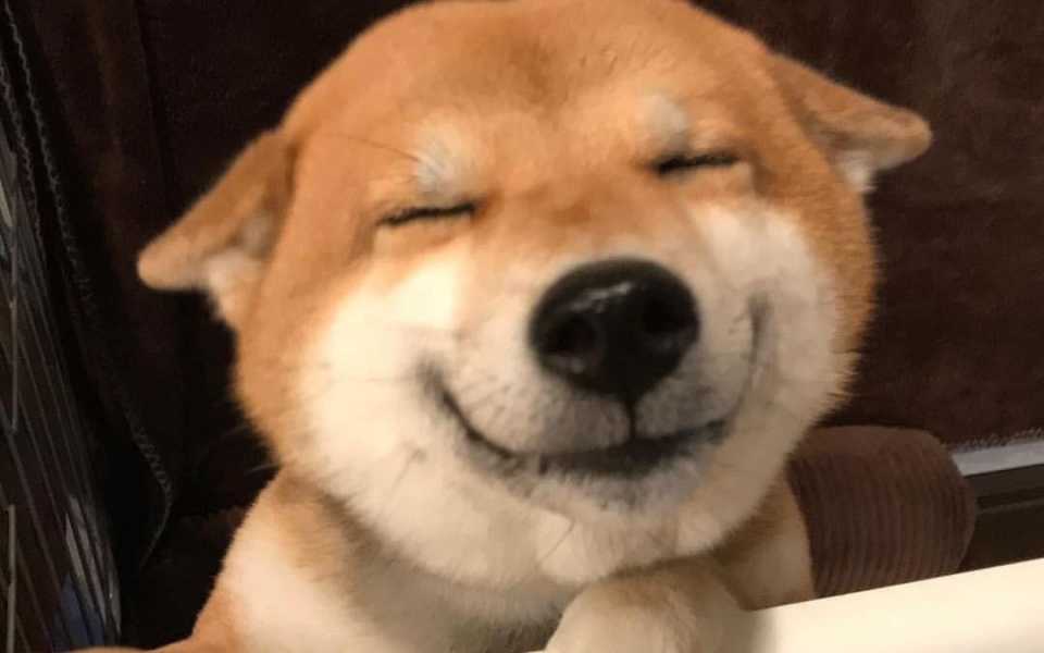b10ea0f739bc3490fd3c704ad9dc03df5c8182ae.jpg