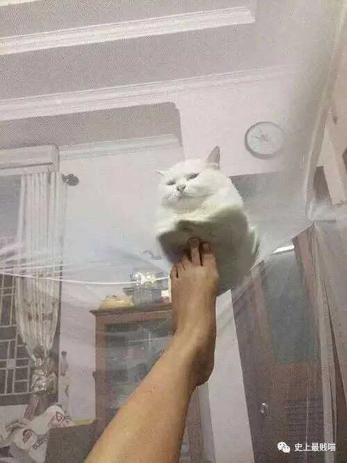 1613910155211.jpeg