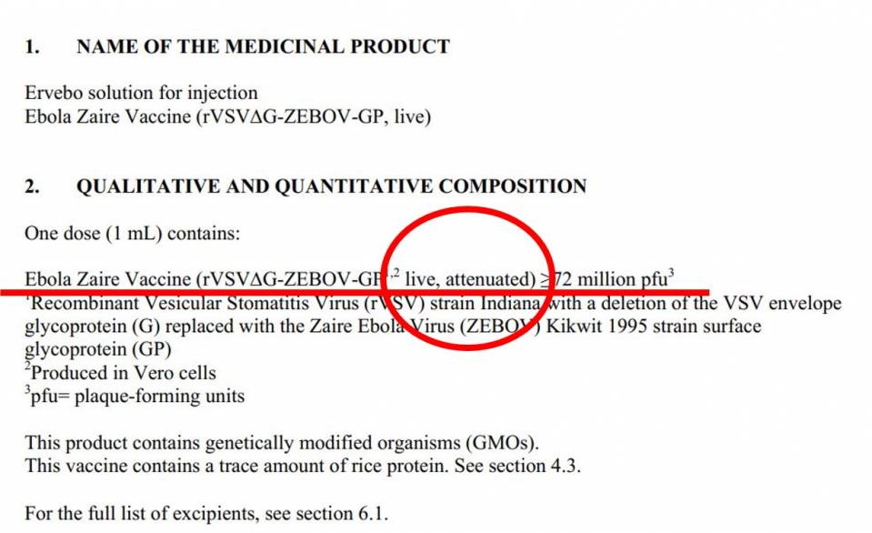 ebolazairevaccine.JPG