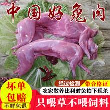 China Rabbit Meat.jpg