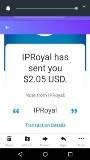 iproyal3