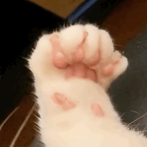 1z.gif