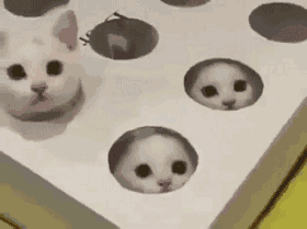 b04b31fa32e84acda3d21a4d4b4c4494.gif