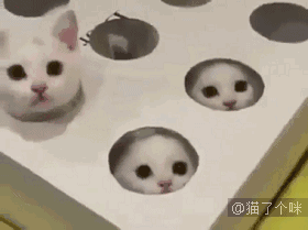 H7FVkp-0.gif