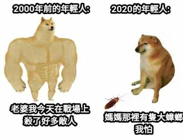 eed3ec334a5cb219.jpg
